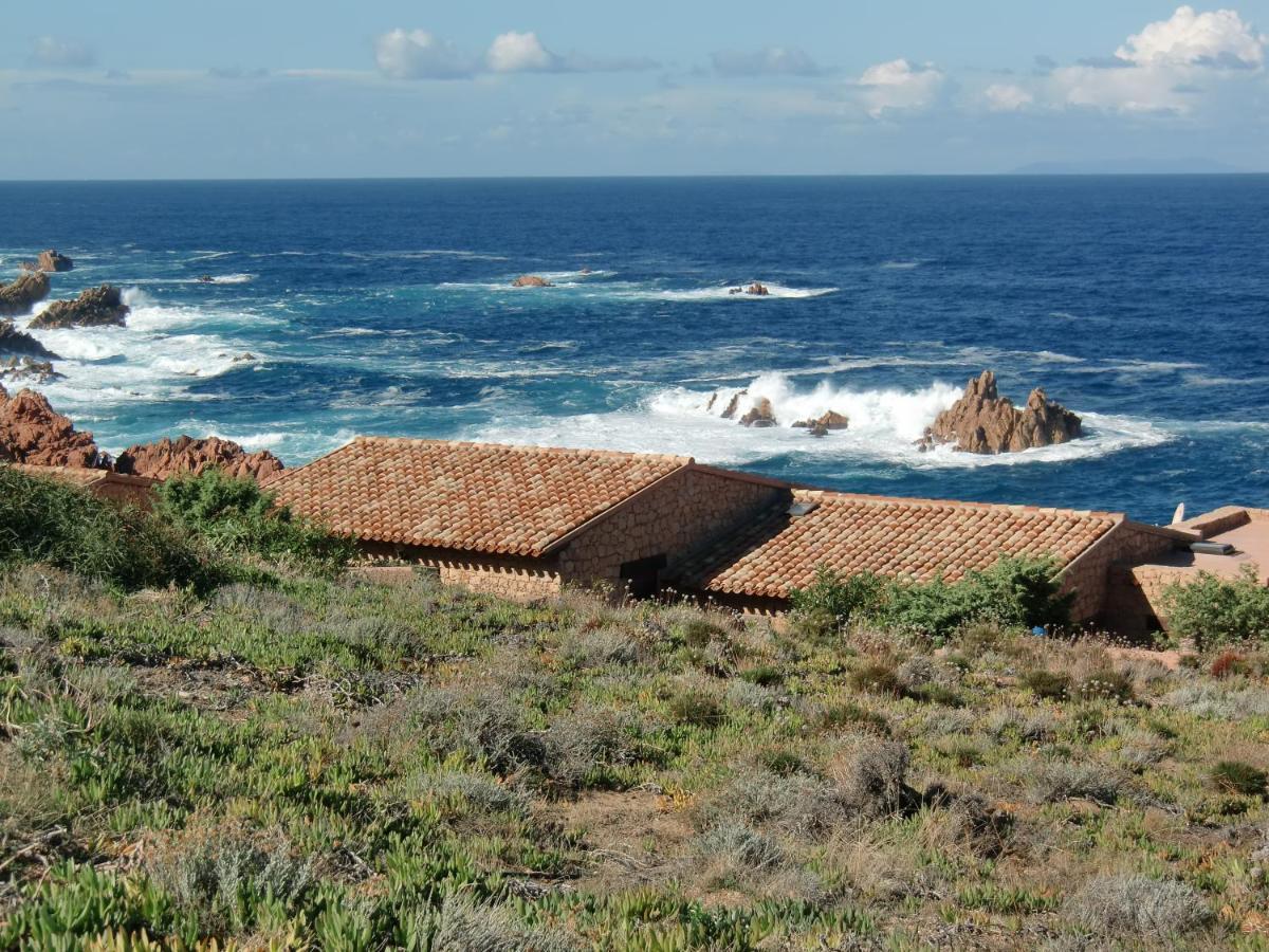 Romantica E Accogliente Casa In Costa Paradiso Apartamento Exterior foto